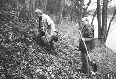 Henrikas Gudavičius ir Imantas Lazdinis sodina jonpapartį prie Merkio, 1992 m.
