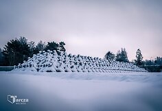 &bdquo;Drakono dantys&ldquo;, skirti Lenkijos pasieniui apsaugoti
