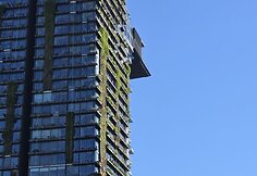 Edvardo Žičkaus kelionė Australijoje