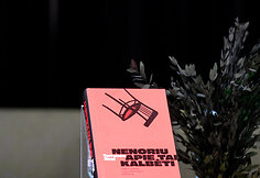Diskusija apie tai, kodėl vyrai nekalba apie emocinę savijautą