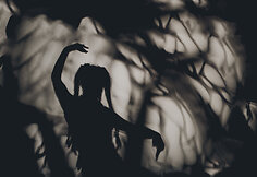 Petunija
