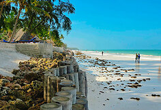 Saugirdo Vaitulionio kelionė į Zanzibarą