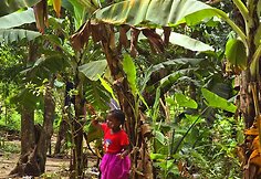 Saugirdo Vaitulionio kelionė į Zanzibarą