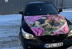 Karolio Čekavičiaus automobilis