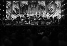 Fink Orchestra