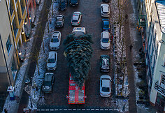 Klaipėda ruo&scaron;iasi kalėdų eglutės įžiebimui