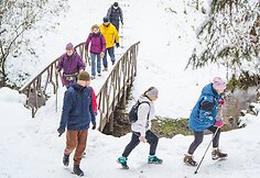 „TrenkTuro“ kalėdinis žygis