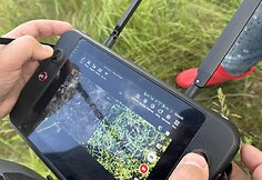 Į pagalbą pasitelkę dronus ir &scaron;unis medžiotojai i&scaron;gelbėjo du &scaron;imtus stirnų jauniklių