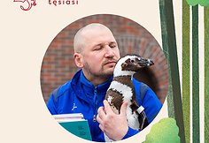 Festivalis vaikams &bdquo;Nuotykiai tęsiasi&ldquo;