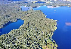Parduodama 10ha sodybvietė su 444m. Samavo ežero pakrante Gražutės regioniniame parke, Pameldynės k., Zarasų raj.