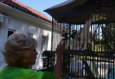 Ruta Lee. &bdquo;Ruta i&scaron; Holivudo&ldquo;