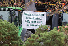Kultūros bendruomenės finalinis mitingas