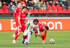 Vilniaus „Žalgiris“ – „Panevėžys“