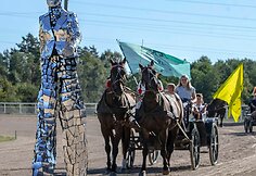 &bdquo;Derby&ldquo; ir &bdquo;Kriterium&ldquo; finale 8 ristūnai žirgai pagerino savo rezultatus