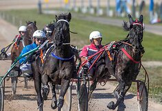 &bdquo;Derby&ldquo; ir &bdquo;Kriterium&ldquo; finale 8 ristūnai žirgai pagerino savo rezultatus