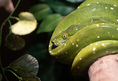 vienintelis Vilniuje zoologijos sodas &ndash; &bdquo;Zoopark&ldquo;