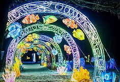 Svarbu žinoti planuojantiems aplankyti &scaron;viesų festivalius: reklamose to nepamatysite