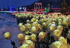 20231215_164238-min