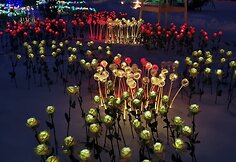 20231215_164255-min