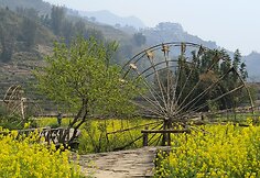 Vietnamas