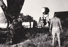 Pasiruo&scaron;imas pu&scaron;ies filmavimo scenai &Scaron;uminuose