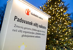 Sužibo kalėdinė Gerumo eglutė
