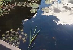 Žilvinas Žitkus prabilo apie verslą