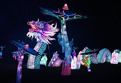 Lietuvoje kurtas didysis &scaron;viesos ir žibintų festivalis &scaron;iemet tapo didžiausiu Prancūzijoje