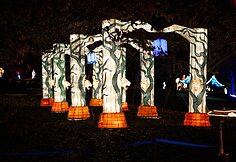 Lietuvoje kurtas didysis &scaron;viesos ir žibintų festivalis &scaron;iemet tapo didžiausiu Prancūzijoje