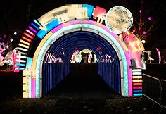 Lietuvoje kurtas didysis &scaron;viesos ir žibintų festivalis &scaron;iemet tapo didžiausiu Prancūzijoje