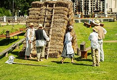 Pakruojo dvare jau atidarytas utopinio grožio Vasaros gėlių festivalis: Mindaugines kviečia &scaron;vęsti tarp milijonų žiedų