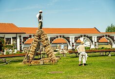 Pakruojo dvare jau atidarytas utopinio grožio Vasaros gėlių festivalis: Mindaugines kviečia &scaron;vęsti tarp milijonų žiedų