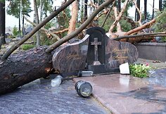 Praūžusi audra nusiaubė ir Panevėžio kapines