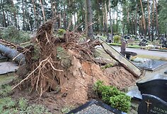 Praūžusi audra nusiaubė ir Panevėžio kapines