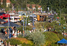 VMS_4045 (1)