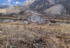 Pavienės šiukšlės Honku slėnyje (Nepalas, 2026 m.)