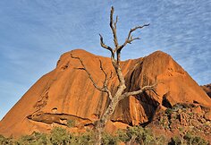 Australija: ar tikrai ten viskas kitaip?
