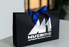 M1 muzikos apdovanojimų dovanos atlikėjams