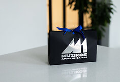 M1 muzikos apdovanojimų dovanos atlikėjams