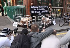 Fotografai paveiksluoja protesto akciją.
