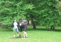 Ąžuoliuko sodinimo akcija