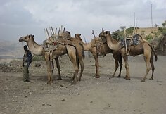 Tęsiame pasakojimą apie amžinai judančią rytų Afrikos šalį – Etiopiją, kur net plastikinis butelis gali tapti didžiausia dovana.
