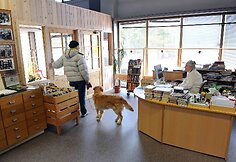 Biblioteka Norvegijos kalnuose, Engerdal komunoje