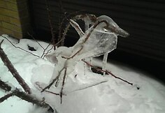 Varveklis ant augalo