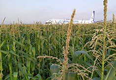 Rusijos oro bendrovės &bdquo;Uralskie avialinii&ldquo; laineris &bdquo;Airbus А-321&ldquo; be važiuoklės sėkmingai nusileido kukurūzų lauke.