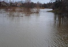 Potvynis &Scaron;ilalėje