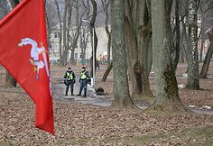 Patriotinės eitynės Kaune
