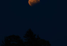 Dalinis Mėnulio užtemimas