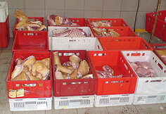 Mėsa