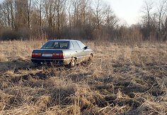 Pelkėje sustojęs automobilis